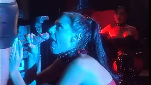 Two Horny Are Enjoy Licking Kissing to Each Other