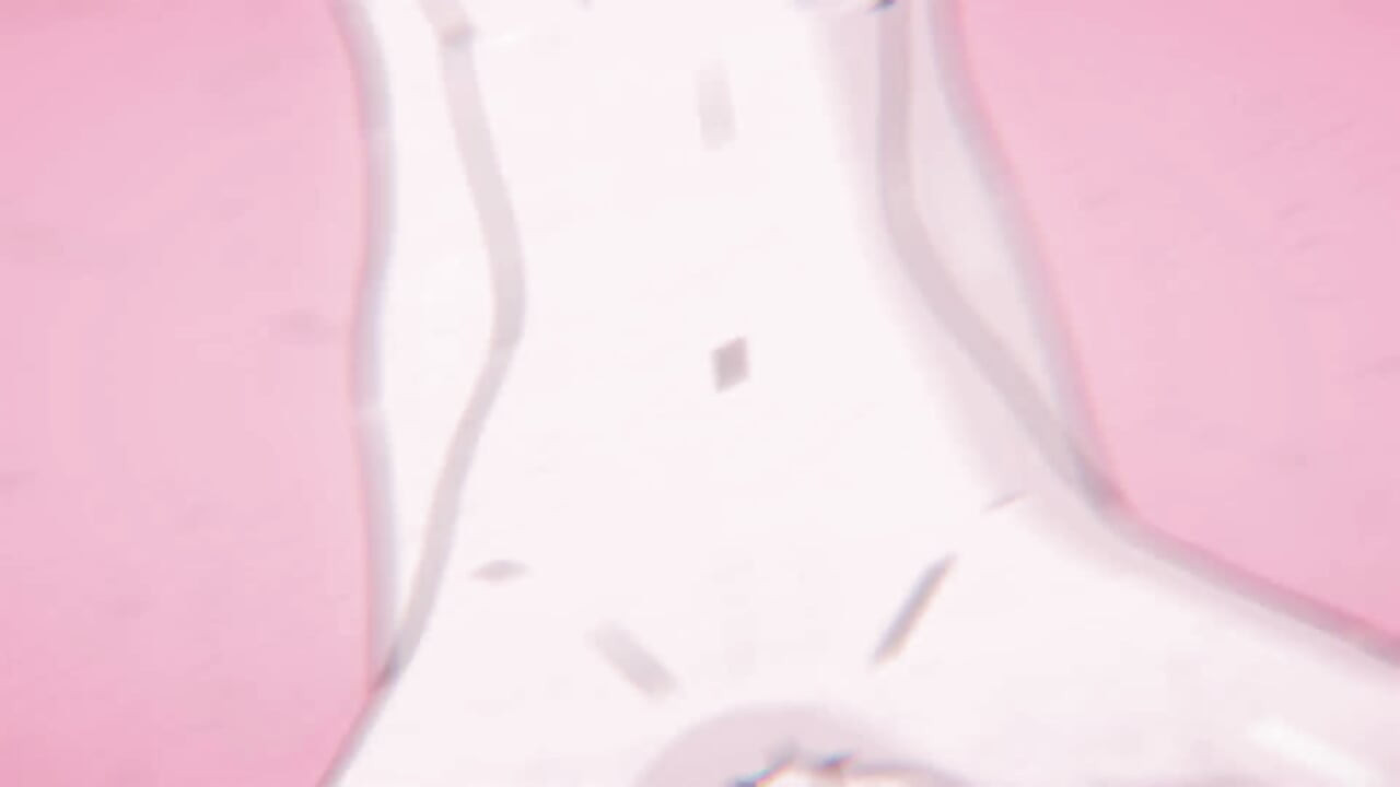 Hinata wichst einen fetten schwanz und bekommt ihre muschi zerstört