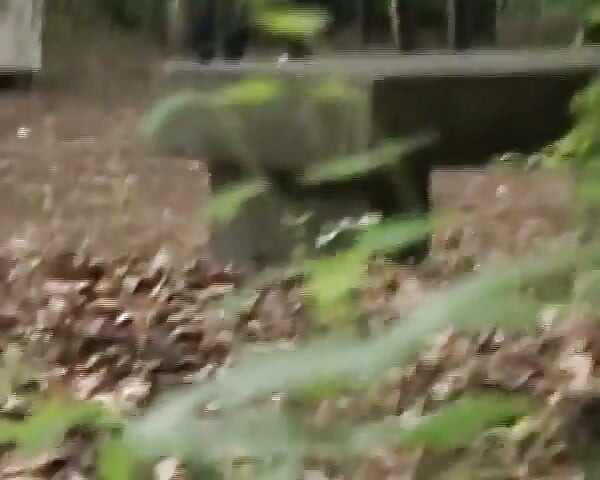 ドイツ出身のブルネットのひよこが森で叩かれる