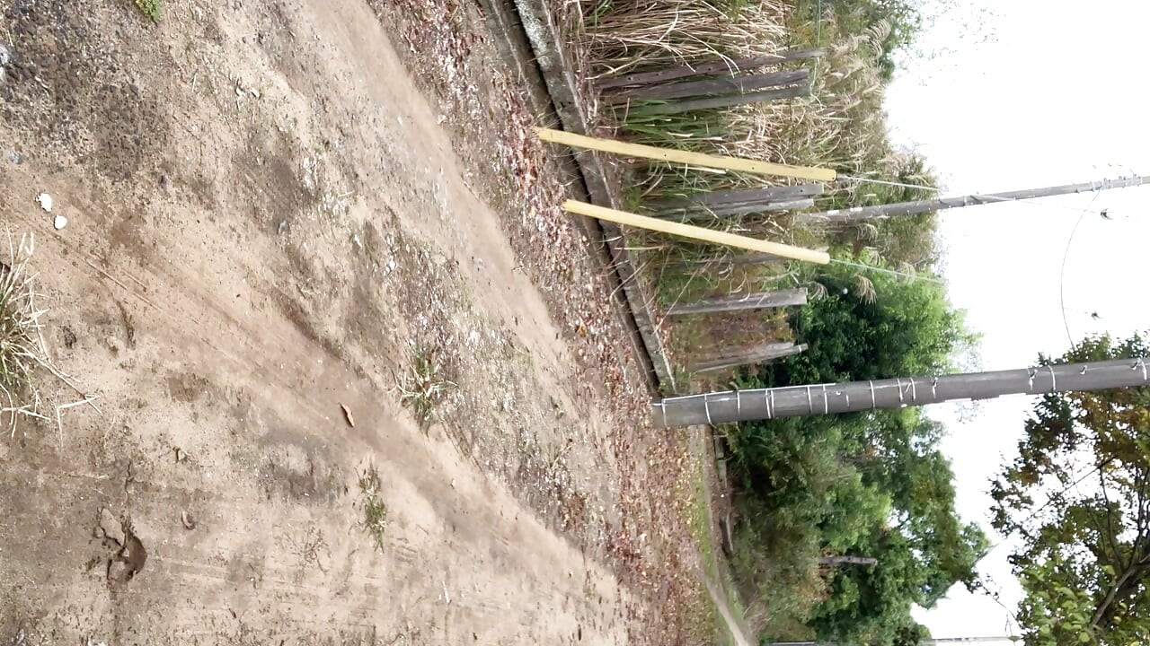 Trainer's Order No. 17: Bread Enema Walk