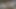 Anton Babkin becam Antonina Babkina in 4k