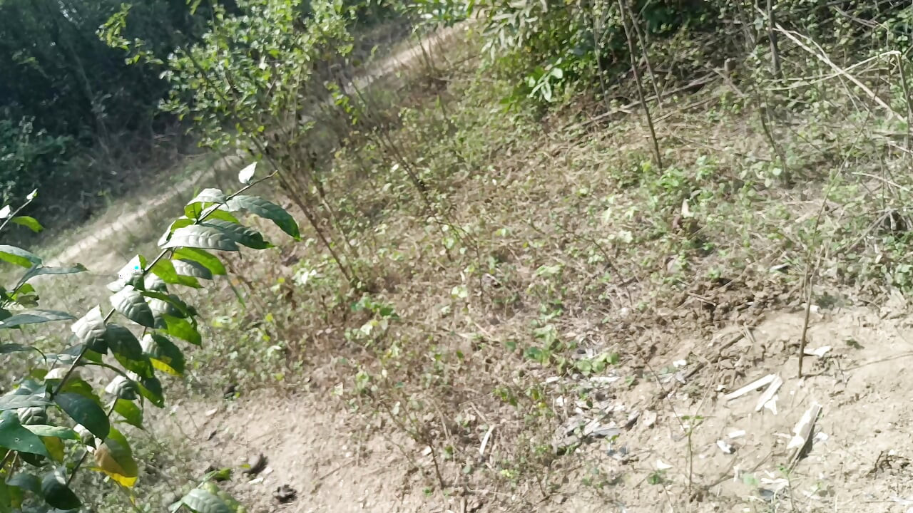 Parejas al aire libre