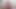 Curvy trans babes in lingerie masturbate during solo session