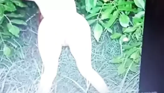 saeeee