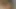 Seksi erotik kamera kızı kamera önünde tatlı amcığıyla oynuyor!