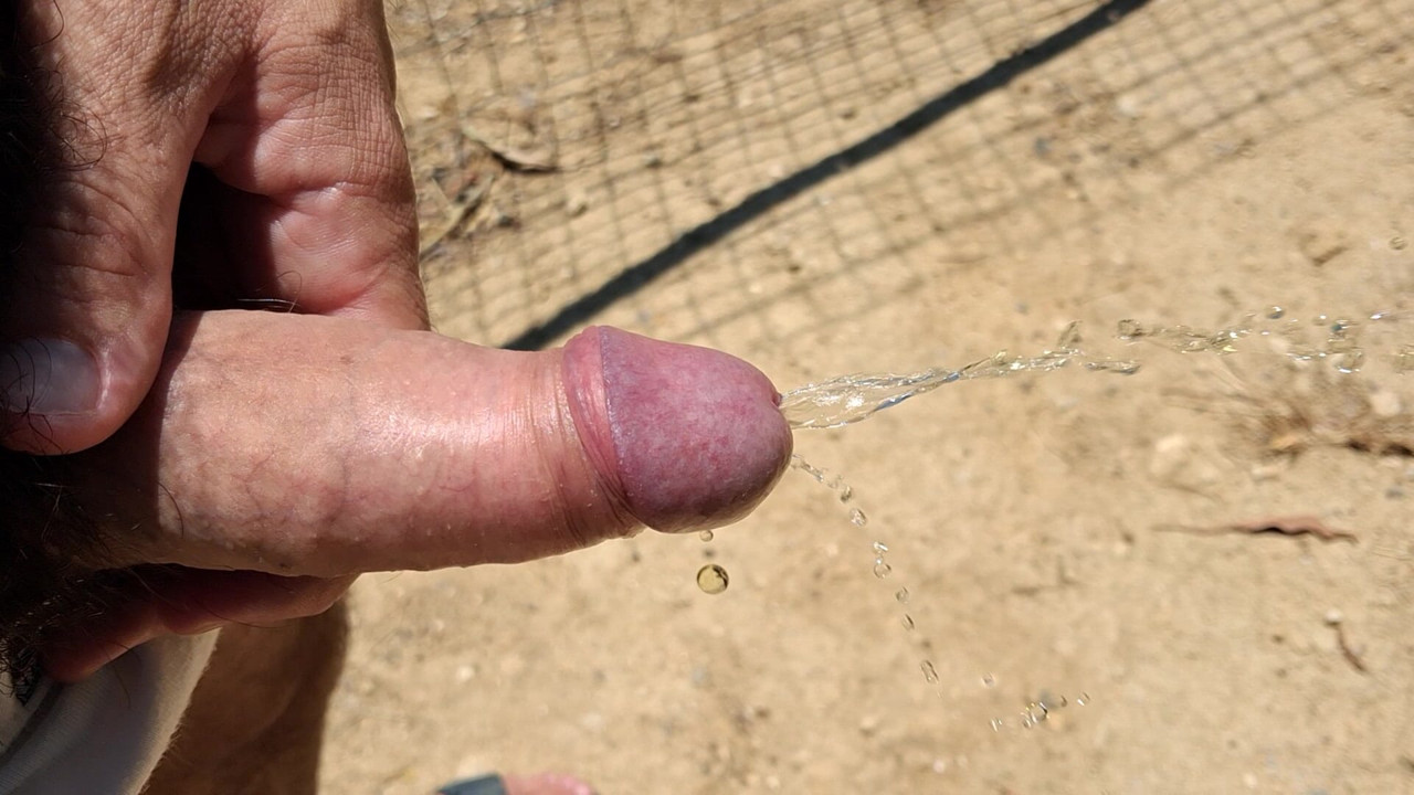 Pissing with almost hard cock