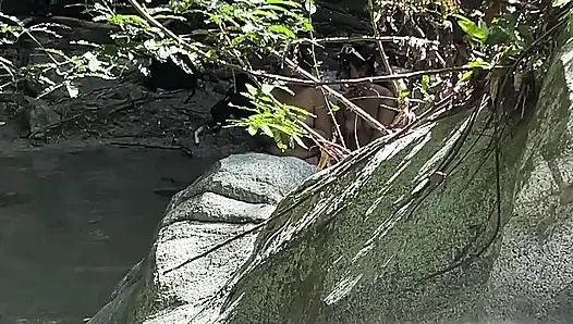 2 Latina schlucken 2 Hahne von Fremden mitten im Wald