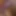Close-up Blowjob, Suck It