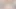 Güzel civciv onu tatlı kedi oynuyor