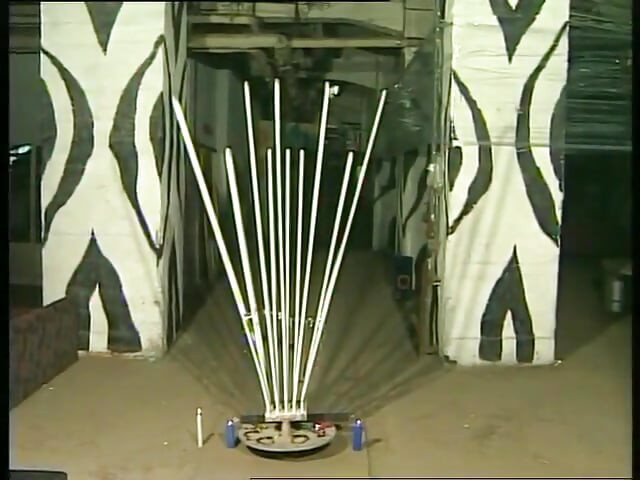 나는 왁싱의 주인