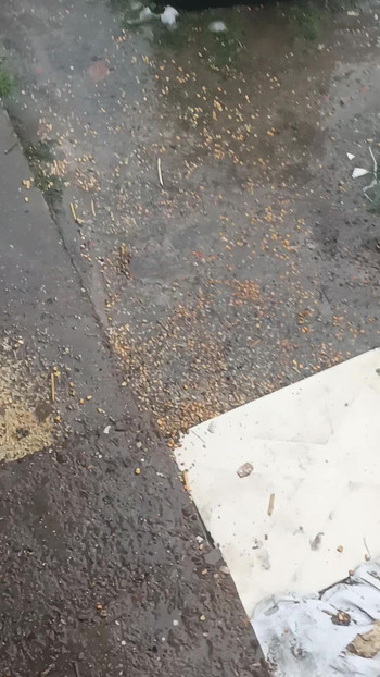 在我家门前放松