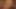 ホットセクレタリーからフェラチオを受ける