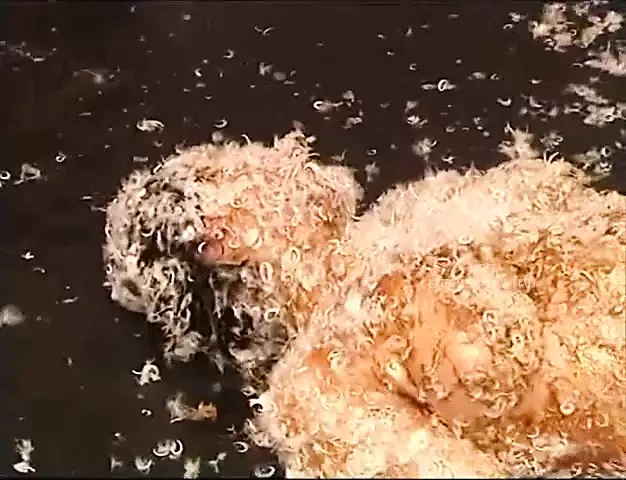 Powergames - 被绑住的荡妇被折磨的合集