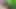 Forest Blowjob in Silence With the Sounds of Nature