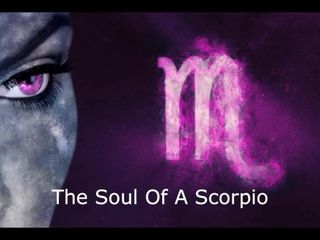 Die Seele des Skorpions
