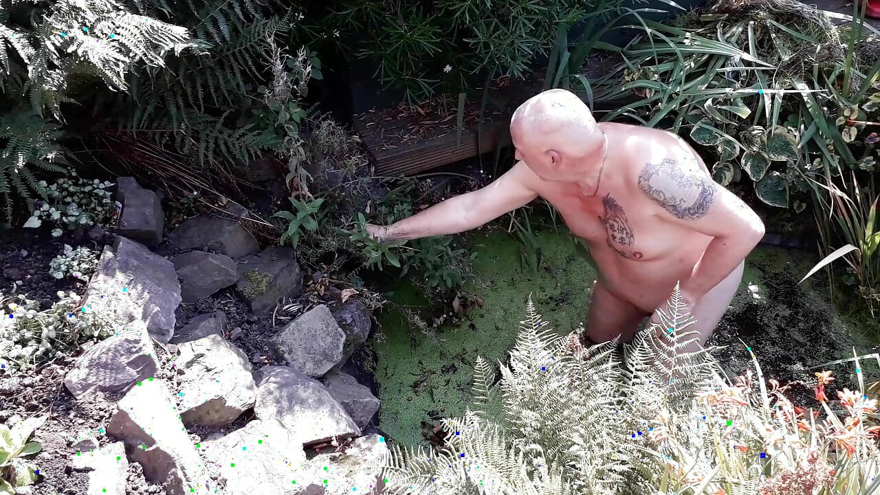 The life of a naked handyman, called next door to clean out the pond