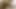 4K. Seksi yüzlü ponpon kız sakso çekiyor ve ağzına boşalıyor