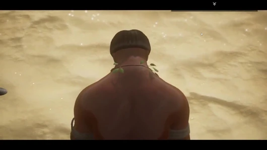 Wild Life Animation Collection