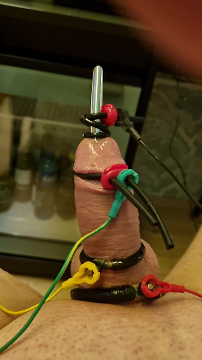 Estim sert
