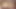 Genç annenin eski erkek arkadaşı tarafından Creampie'den sızıntı yaptı