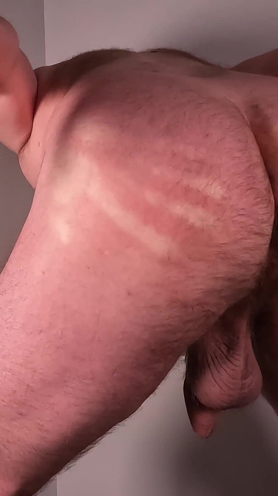 Medvjed jutarnji potez otpozadi kako bi otkrio velika jaja, kurac i šupak