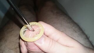 Rolling condom into urethra, urethral sounding, Close Up