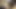 Thai Cute Big Dick Ladyboys Masturbation with Toys and Vibrators... so Sexy, so Horny!!! Vol 1