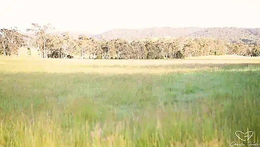 Связанная По Дому, Часть 3: Бродячий С Участием Чарли Форд, Финли Кей, Калеб Аркан