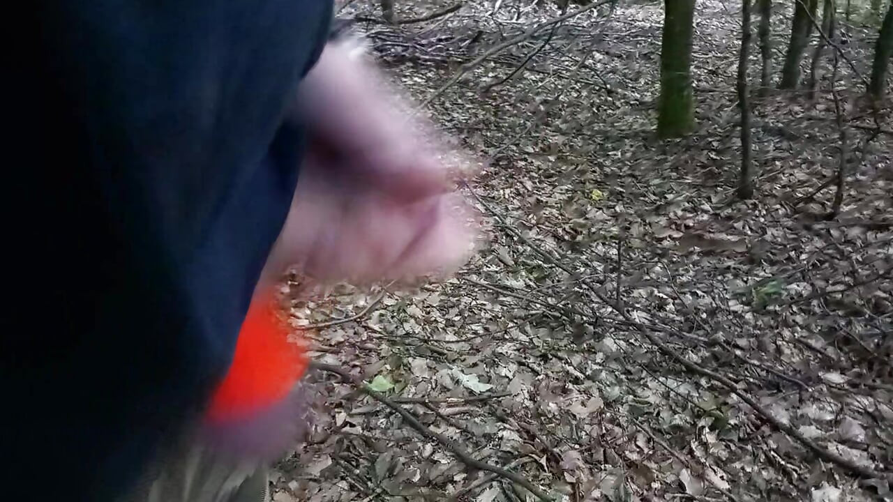 Outdoor in the forest snotted