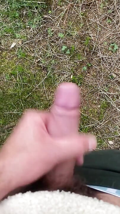 Χύστε στο δάσος