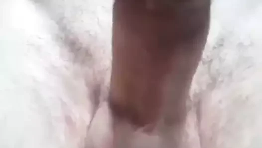 Hangi canlının horozunu boşaltacak
