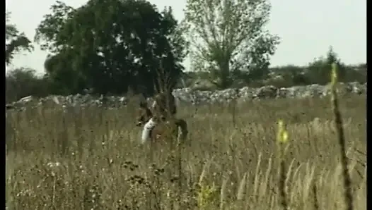 Behind German Doors Is Fucked Diligently - Full Movie