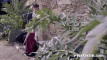 Video ön izlemesi