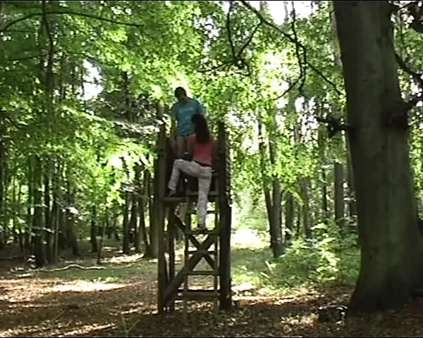 In der Wildnis hartcore die Joggerin gefickt