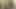 MILF love boy cum