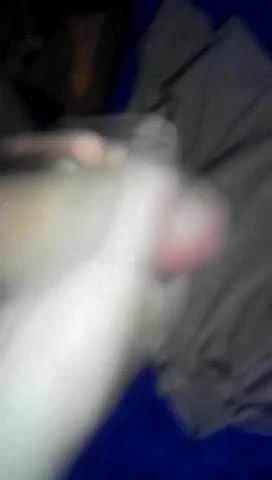 Estoy caliente