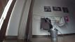 Anteprima video