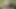 18yo almost caught pissing and jerking at the public park