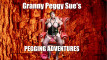 Pregled videozapisa