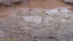 Pratinjau video