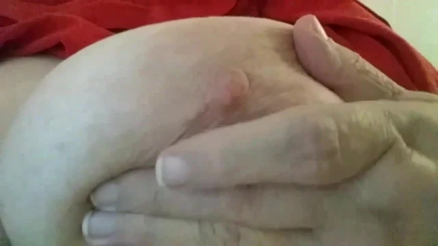 Florida Angel 3