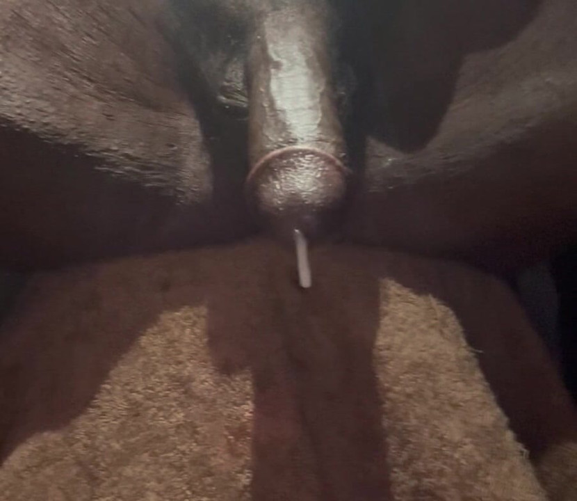 Fun times who wants to join the fun