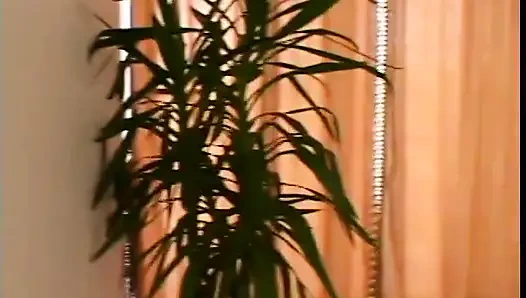 Cewek nakal rambut pirang seks threesome yang luar biasa