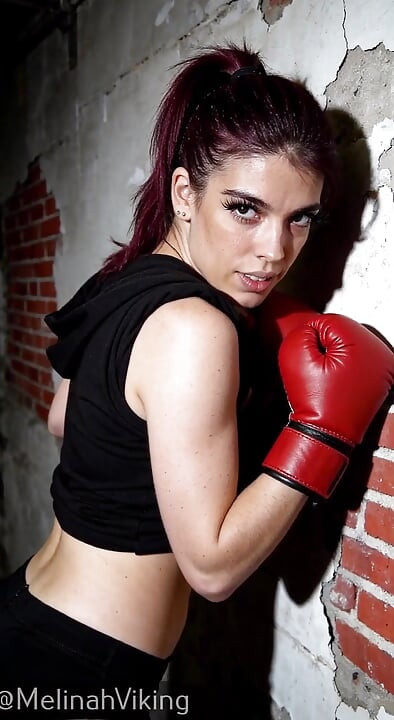 Horny Boxer