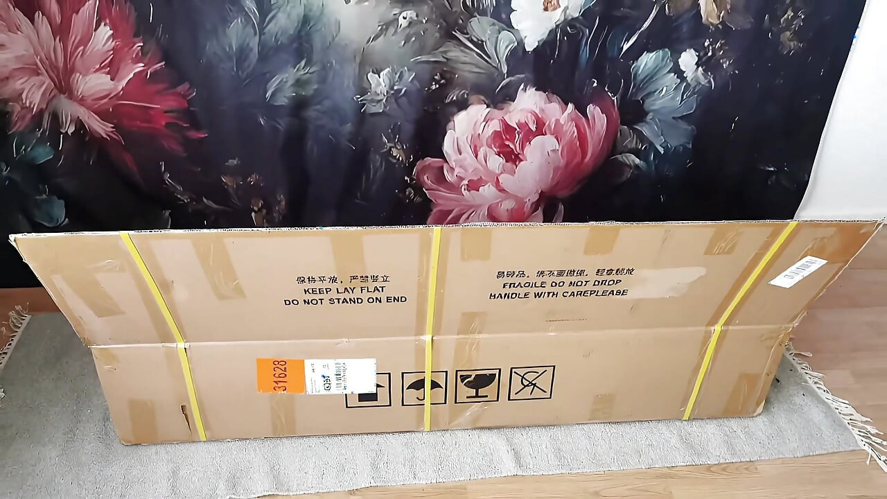 The unpacking of my Funwest Doll Lyra