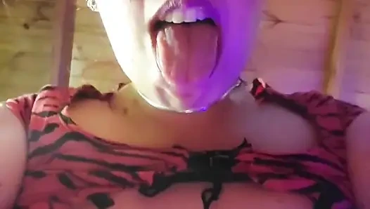 Yazılım Güncellemeleri ile Gauchita Doll