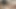 Cum Swallowing Reward for Delivery Guy's Same Day Service