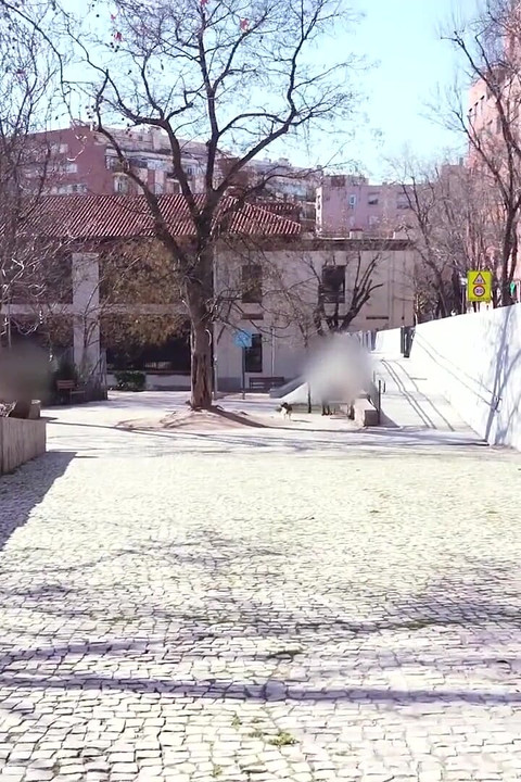 Lucy Duarte üniversiteli sınıf arkadaşını test etmek istiyor. İddia ettiği kadar iyi sikişiyor mu?