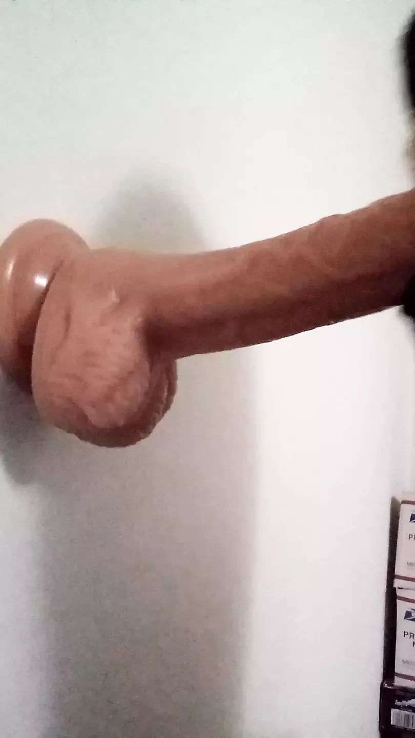 Sissy Cock Sucker