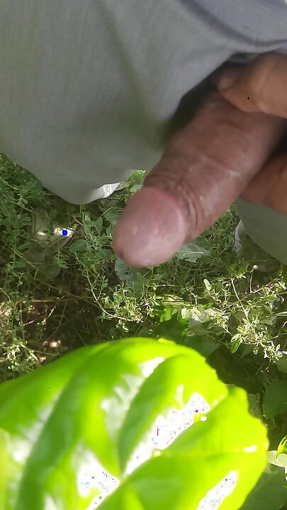 I had sex among the leaves, even the leaves felt shy thinking about it.